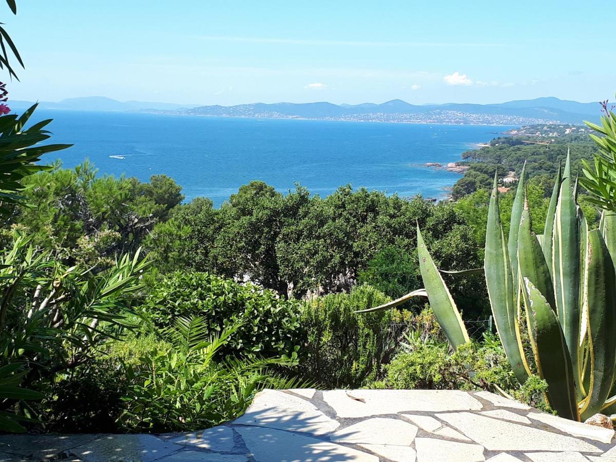 Duplex, Vue Panoramique Sur La Mediterranee, Piscine, Garage Saint-Raphaël Exteriör bild