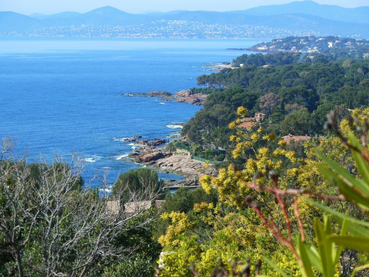 Duplex, Vue Panoramique Sur La Mediterranee, Piscine, Garage Saint-Raphaël Exteriör bild