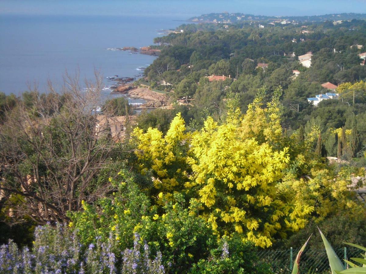 Duplex, Vue Panoramique Sur La Mediterranee, Piscine, Garage Saint-Raphaël Exteriör bild